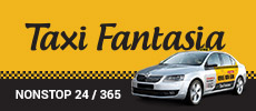 Taxi Fantasia